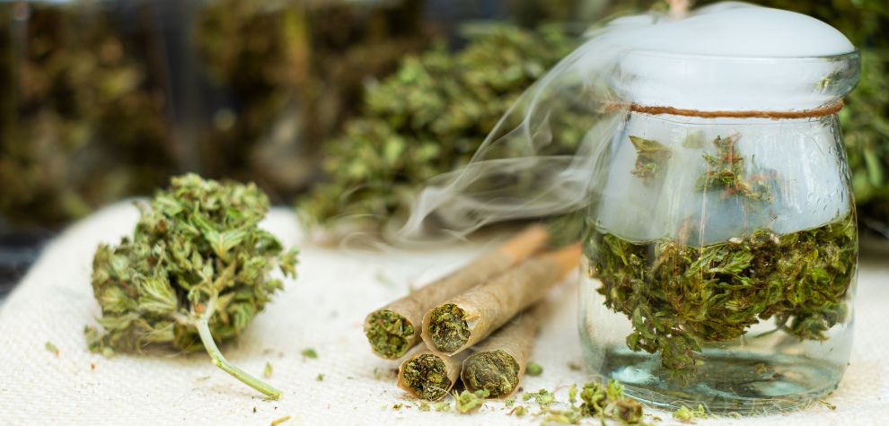 The terpenes may also enhance the Hindu Kush effects by synergizing with cannabinoids and flavonoids.Â