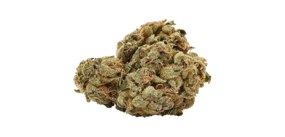 The Hindu Kush strain is a pure landrace that originated from the Hindu Kush, a mountainous range stretching from Afghanistan, Pakistan, to Tajikistan.Â