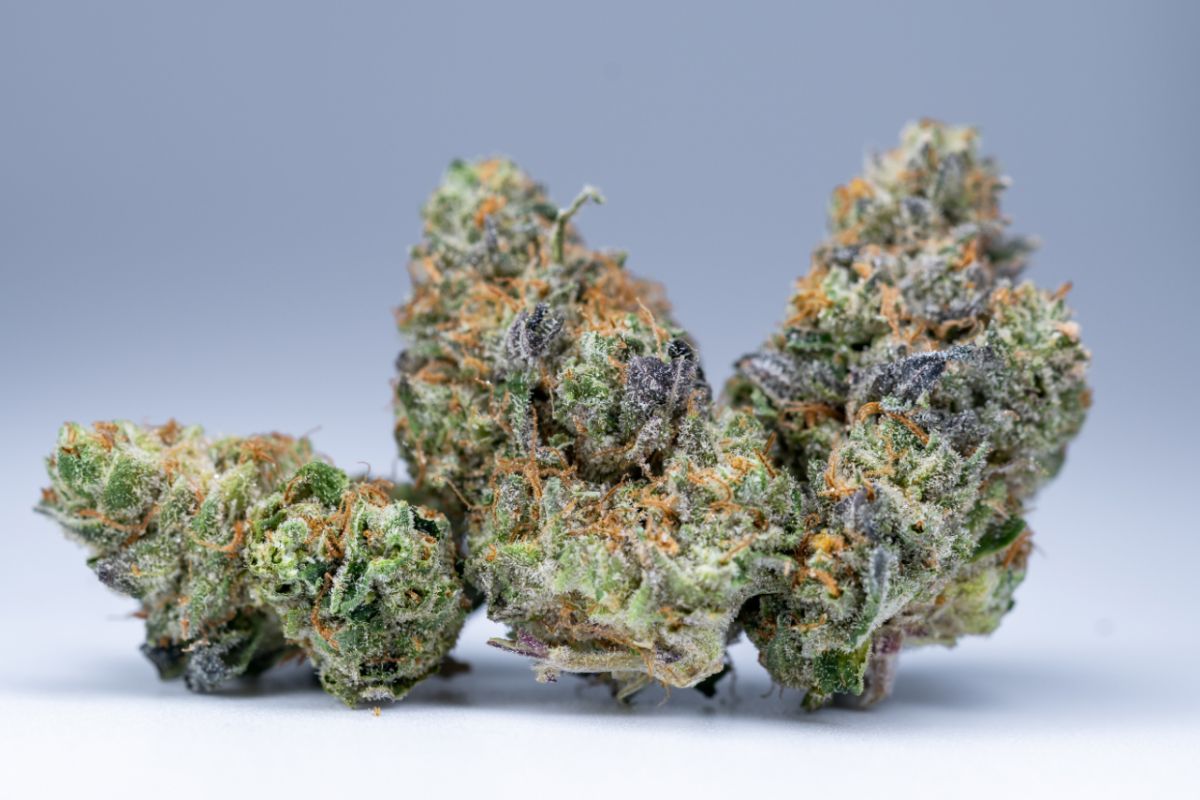 Cannabinoids play a key role in your general cannabis experience. So, what are some of the top cannabinoids? This guide has you covered!