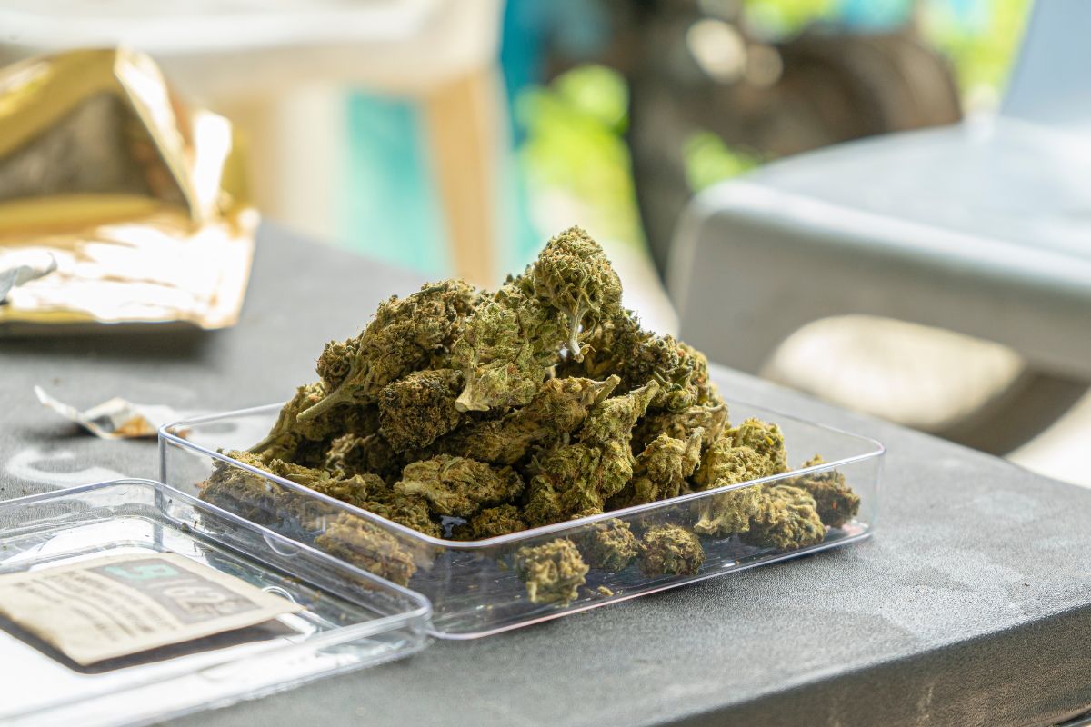 Venom OG is the perfect hybrid, offering a balanced blend of relaxation & mental clarity. Discover why this strain is a must-try for all enthusiasts.