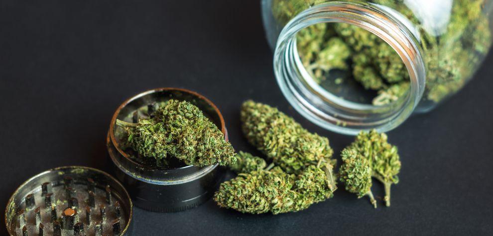 A THC flower refers to the dried buds of the cannabis plant that contain high concentrations of THC.