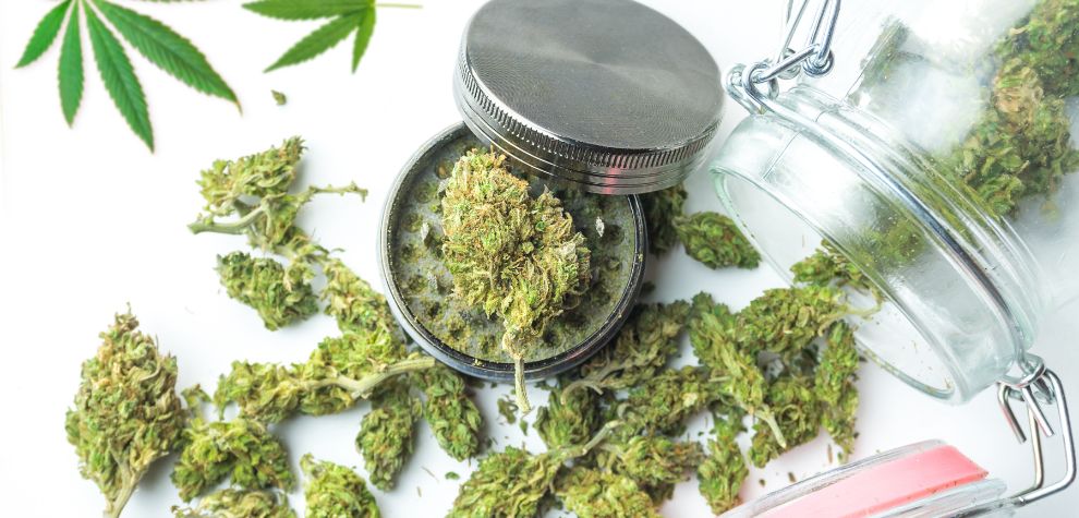 MMJExpress is a trusted online dispensary in Canada that delivers fresh and potent THC flowers straight to your door.Â