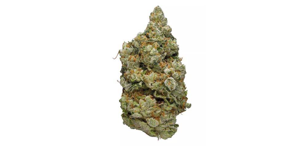 The Purple Kush strain is one of the most sought-after purple buds. It will soon become clear why in this Purple Kush review, but first, let's look at its origins.