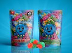 Buy Sky High Edibles - Blue Raspberry + Watermelon Gummy 3000mg THC at MMJ Express Online Shop