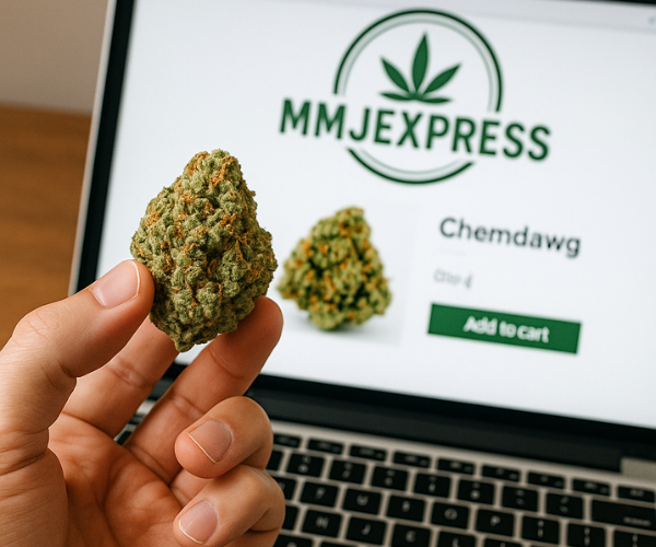 Hand holding a Chemdawg cannabis bud in front of MMJExpress online store page, showing how to buy the strain online