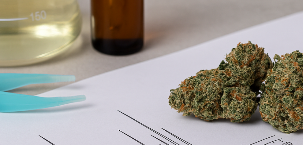 Cannabis buds on lab test results with vials and equipment, showing dispensary product testing