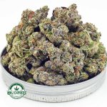 Buy Cannabis Pink Rob Ford AAAA (Popcorn Nugs) at MMJ Express Online Shop