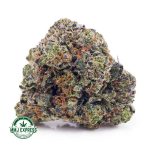 Buy Cannabis 91 Octane AAAA+ Craft at MMJ Express Online Shop