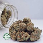 Buy Cannabis Cream Soda AAA at MMJ Express Online Shop