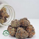 Buy Cannabis Dino Crack AAAA at MMJ Express Online Shop