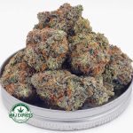 Buy Cannabis OG Kush AAAA at MMJ Express Online Shop