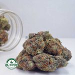 Buy Cannabis OG Kush AAAA at MMJ Express Online Shop