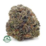 Buy Cannabis Watermelon Punch AAAA at MMJ Express Online Shop