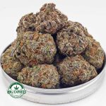 Buy Cannabis Pink Berry AAA at MMJ Express Online Shop