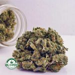 Buy Cannabis Ice Pop AAAA (Popcorn Nugs) at MMJ Express Online Shop