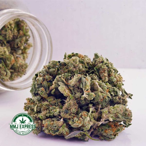 Buy Cannabis Ice Pop AAAA (Popcorn Nugs) at MMJ Express Online Shop