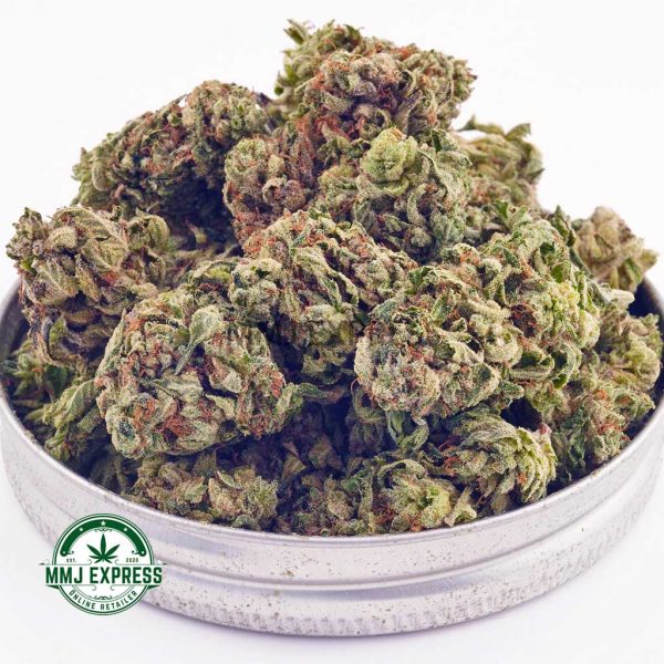 Buy Cannabis White Russian Cream AAA at MMJ Express Online Shop