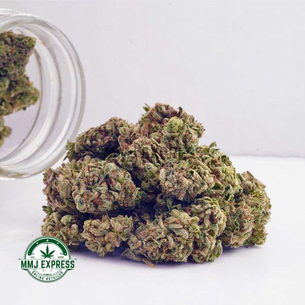 Buy Cannabis White Russian Cream AAA at MMJ Express Online Shop