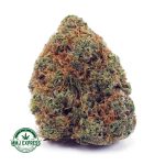 Buy Cannabis Gelato #41 AAA at MMJ Express Online Shop