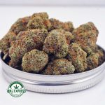 Buy Cannabis Gelato #41 AAA at MMJ Express Online Shop