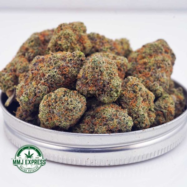 Buy Cannabis Gelato #41 AAA at MMJ Express Online Shop