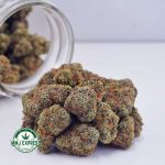 Buy Cannabis Gelato #41 AAA at MMJ Express Online Shop