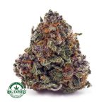 Buy Cannabis Permanent Marker AAA MMJ Express Online Shop