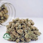 Buy Cannabis Berry Bomb AAAA (Popcorn Nugs) at MMJ Express Online Shop