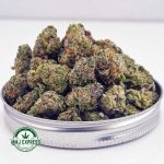 Buy Cannabis Gushers AAAA (Popcorn Nugs) at MMJ Express Online Shop