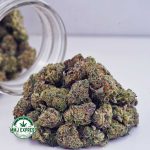 Buy Cannabis Gushers AAAA (Popcorn Nugs) at MMJ Express Online Shop