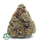 Buy Cannabis Khalifa Cookies AA at MMJ Express Online Shop