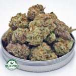 Buy Cannabis Khalifa Cookies AA at MMJ Express Online Shop