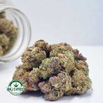 Buy Cannabis Khalifa Cookies AA at MMJ Express Online Shop