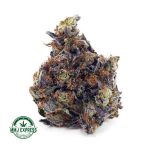 Buy Cannabis 91 Octane AAAA+ Craft at MMJ Express Online Shop
