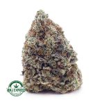 Buy Cannabis Green Crack AAA at MMJ Express Online Shop