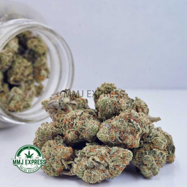 Buy Cannabis Girl Scout Cookies AAA at MMJ Express Online Shop