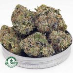 Buy Cannabis Couch Lock AAAA+ , Craft at MMJ Express Online Shop