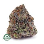Buy Cannabis Laughing Buddha Craft, AAAA+ at MMJ Express Online Shop