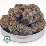 Buy Cannabis Laughing Buddha Craft, AAAA+ at MMJ Express Online Shop