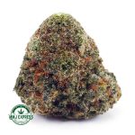 Buy Cannabis Northern Lights AAA at MMJ Express Online Shop