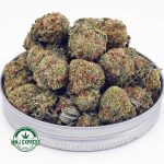 Buy Cannabis Northern Lights AAA at MMJ Express Online Shop
