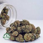 Buy Cannabis Northern Lights AAA at MMJ Express Online Shop