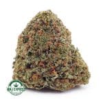 Buy Cannabis Nirvana AAA at MMJ Express Online Shop