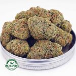 Buy Cannabis Nirvana AAA at MMJ Express Online Shop
