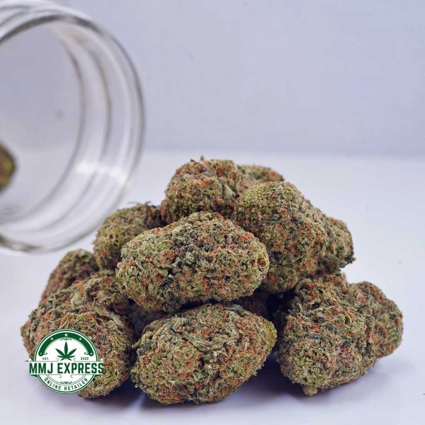 Buy Cannabis Nirvana AAA at MMJ Express Online Shop
