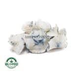 Shrooms - Albino Jedi Mind Fuck - Image 2