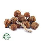 Buy Shrooms - Blue Meanies at MMJ Express Online Shop