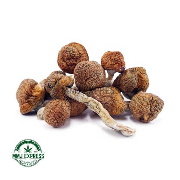 Buy Shrooms - Blue Meanies at MMJ Express Online Shop