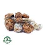 Buy Shrooms - Tidal Wave at MMJ Express Online Shop