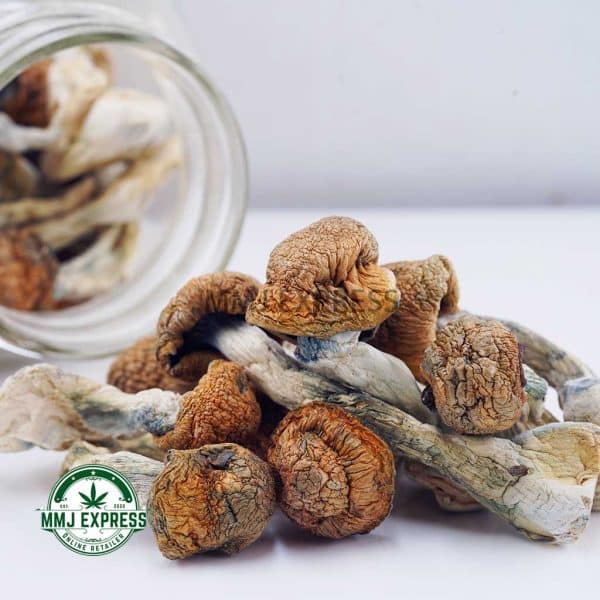 Buy Shrooms - Blue Meanies at MMJ Express Online Shop